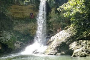 Puerto Rico: Gozalandia River Hiking and Waterfall Tour