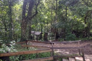 Puerto Rico: Gozalandia River Hiking and Waterfall Tour