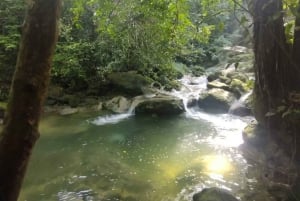 Puerto Rico: Gozalandia River Hiking and Waterfall Tour