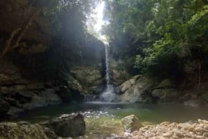 Puerto Rico: Gozalandia River Hiking and Waterfall Tour