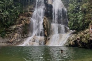 Puerto Rico: Gozalandia River Hiking and Waterfall Tour