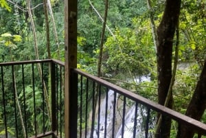 Puerto Rico: Gozalandia River Hiking and Waterfall Tour