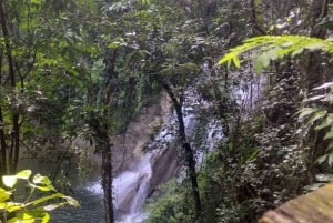 Puerto Rico: Gozalandia River Hiking and Waterfall Tour