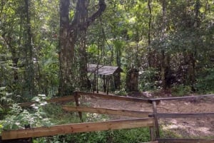 Puerto Rico: Gozalandia River Hiking and Waterfall Tour