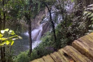 Puerto Rico: Gozalandia River Hiking and Waterfall Tour