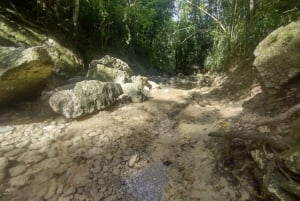 Puerto Rico: Gozalandia River Hiking and Waterfall Tour