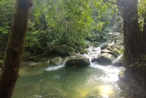 Puerto Rico: Gozalandia River Hiking and Waterfall Tour