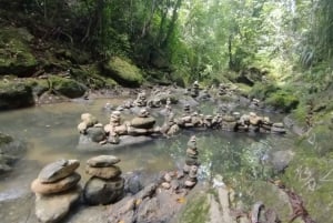 Puerto Rico: Gozalandia River Hiking and Waterfall Tour