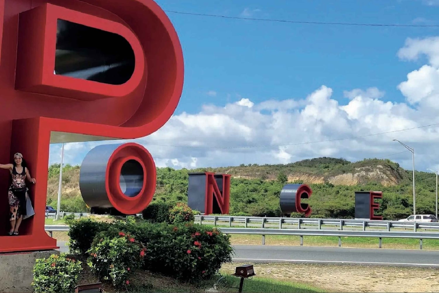 Puerto Rico: Rundtur til Guánica-tørskoven, strande og mangrover