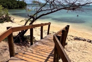 Puerto Rico: Rundtur til Guánica-tørskoven, strande og mangrover