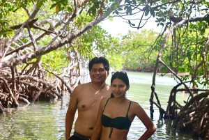 Puerto Rico: Rundtur til Guánica-tørskoven, strande og mangrover