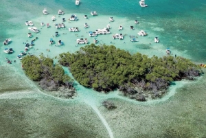 Puerto Rico: Rundtur til Guánica-tørskoven, strande og mangrover