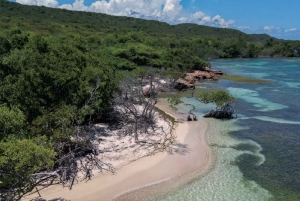Puerto Rico: Rundtur til Guánica-tørskoven, strande og mangrover