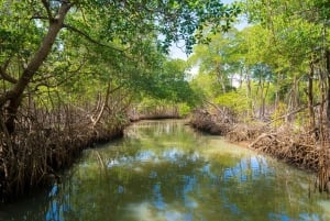 Puerto Rico: Guided East Coast Jet Ski Tour to Isla Verde