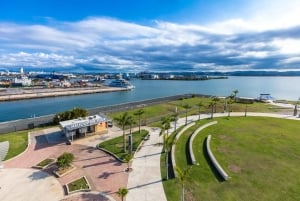 Puerto Rico: Vuelos en helicóptero