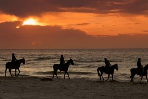 Puerto Rico: Sunset Horseback Rides in Aguadilla Beach