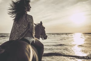 Puerto Rico: Sunset Horseback Rides in Aguadilla Beach