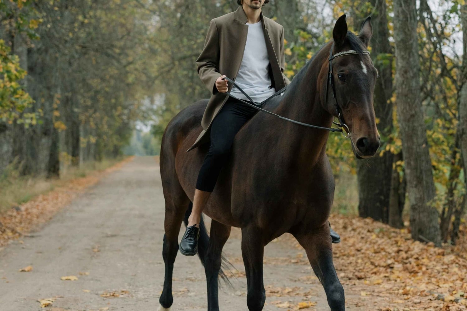 プエルトリコ：ビーチと森で乗馬をお楽しみください