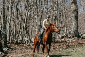 プエルトリコ：ビーチと森で乗馬をお楽しみください