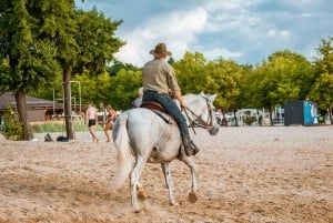 プエルトリコ：ビーチと森で乗馬をお楽しみください