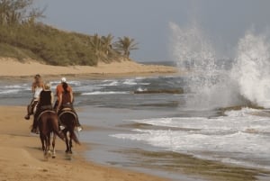 プエルトリコ：ビーチと森で乗馬をお楽しみください
