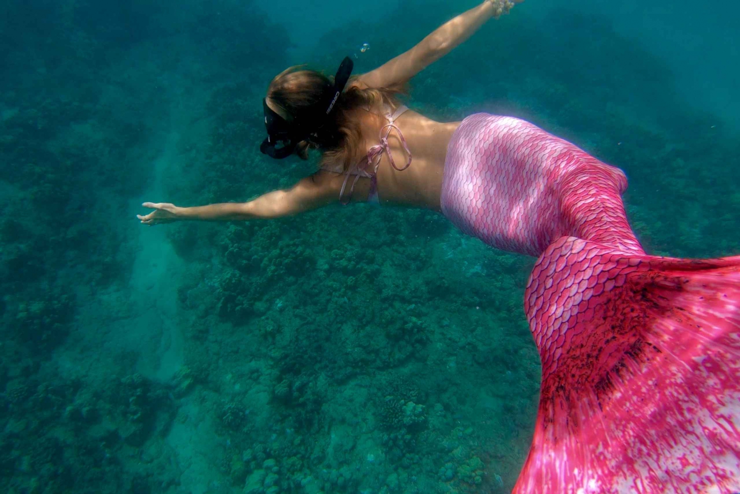 Puerto Rico: Mermaid Snorkeling Adventure