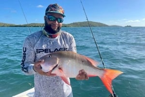 Puerto Rico: privé snorkelen, vissen en eilandtour