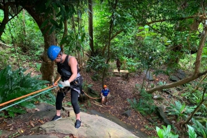 Puerto Rico: Rainforest Ziplining