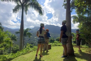 Puerto Rico: Rainforest Ziplining