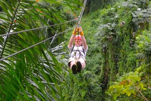 Puerto Rico: Rainforest Ziplining