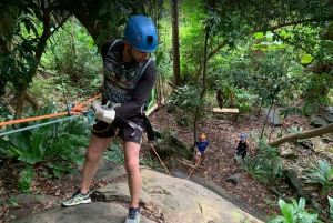 Puerto Rico: Rainforest Ziplining