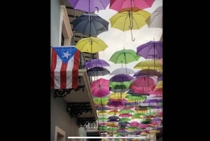San Juan: Wycieczka po stylu życia, sztuce i kulturze Portoryko