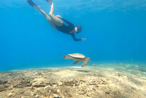 San Juan: Swimming and Snorkeling Tour with Turtles
