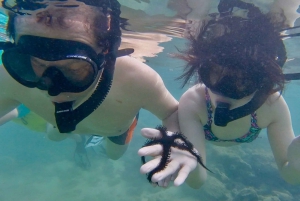 San Juan: Swimming and Snorkeling Tour with Turtles