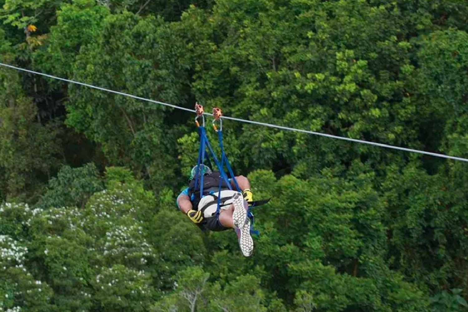 Puerto Rico: Die Monster-Seilrutsche Toro Verde Adventure Park