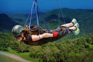 Puerto Rico : La tyrolienne monstre Parc d'aventure Toro Verde