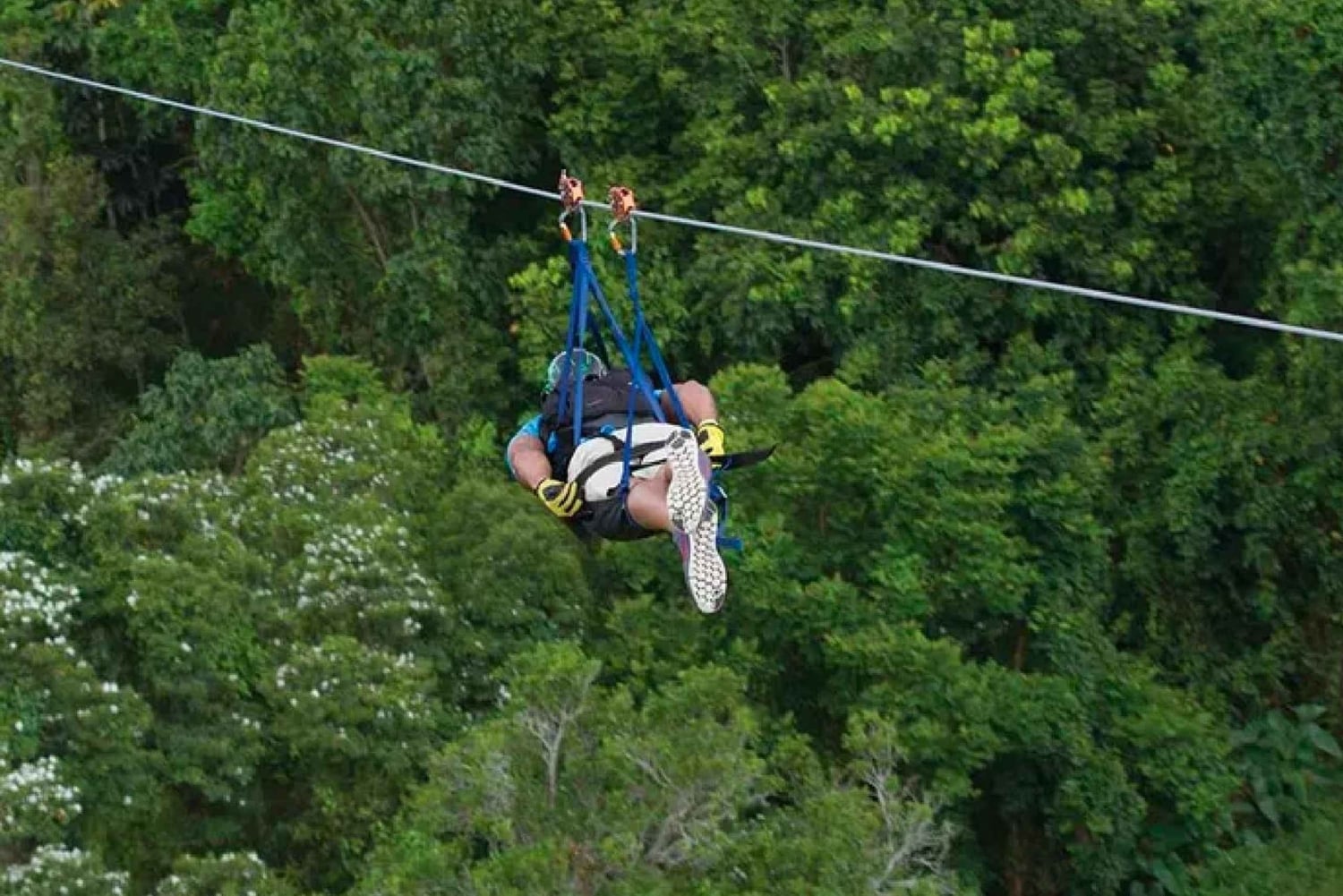 Puerto Rico: Toro Verde Adventure Park - Die Monster-Seilrutsche