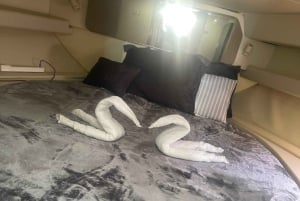 Puerto Rico: Yachtcharter til Icacos- og Palomino-øerne