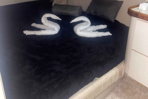 Puerto Rico: Yachtcharter til Icacos- og Palomino-øerne