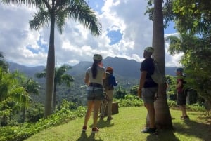 Puerto Rico: Yunque Rainforest Zip-Lining Adventure