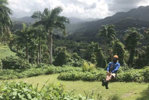 Puerto Rico: Yunque Rainforest Zip-Lining Adventure