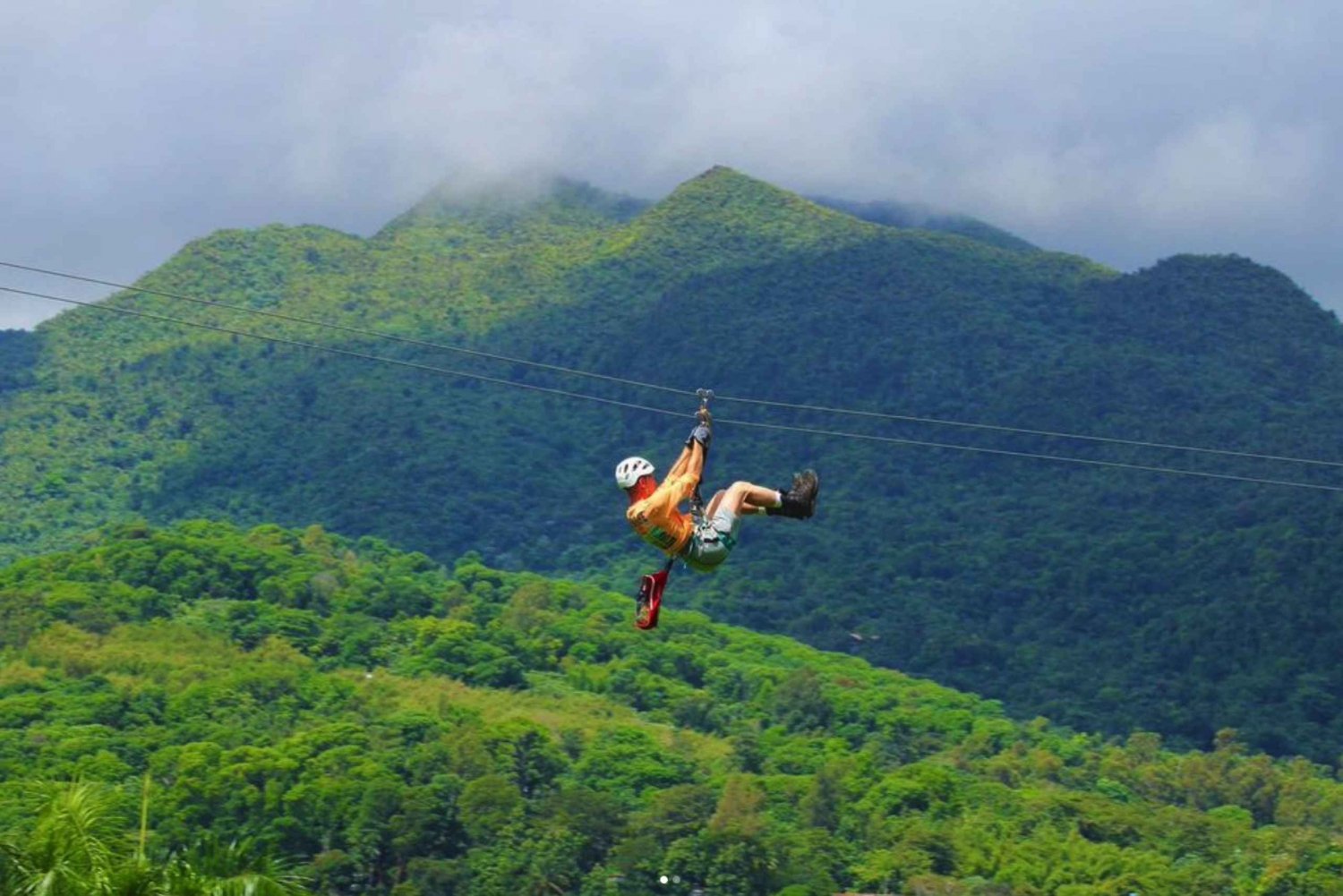 Porto Rico: Yunque Ziplining nella foresta pluviale