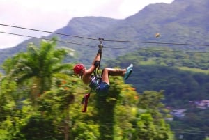 Puerto Rico : Zipline Yunque dans la forêt tropicale