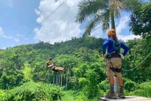 Puerto Rico: Yunque Ziplining i regnskoven