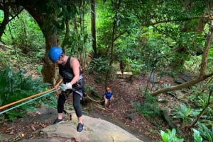 Porto Rico: Yunque Ziplining na floresta tropical