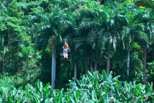 Puerto Rico: Yunque Ziplining i regnskogen