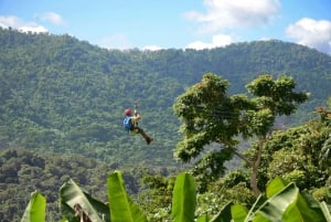 Puerto Rico: Yunquen sademetsän köysirataurheilu