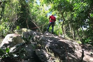 プエルトリコ：熱帯雨林でのユンケ ジップライン