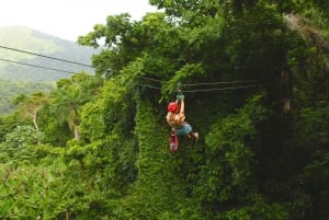 Puerto Rico: Yunque ziplinen in het regenwoud