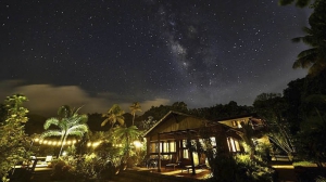 Rainforest Inn